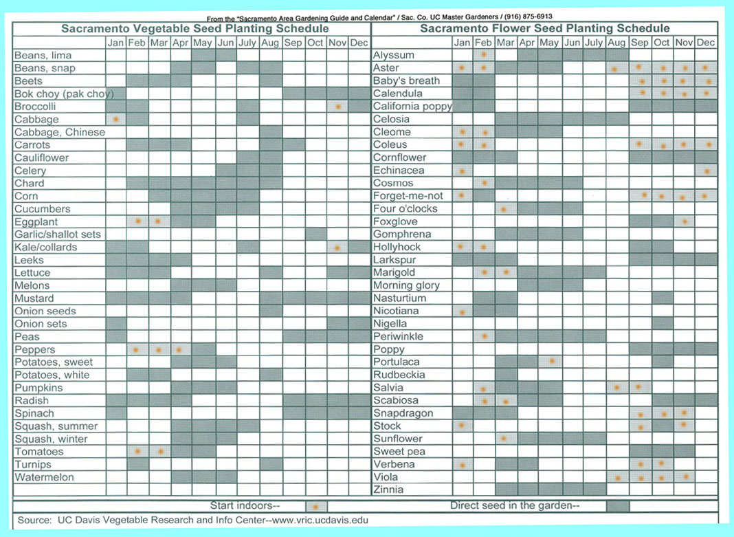 Florida Growing Season Chart